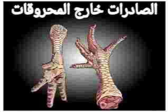 بماذا سنغزو الجزائر الأسواق العالمية بعد انضمامها الى المنظمة العالمية للتجارة