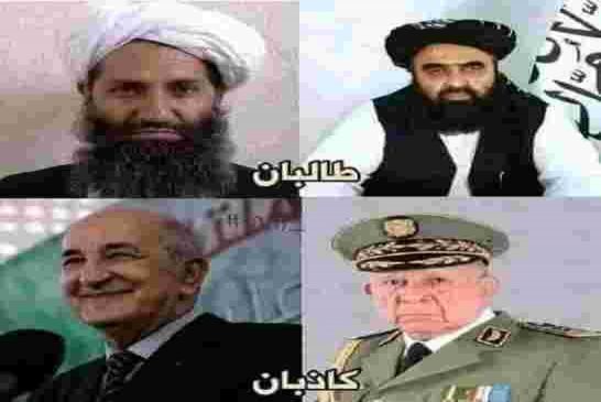 فورين بوليسي: تحرير الجزائر من عصابة الجنرالات المسنين أصبح فرض عين