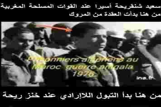 حداري ثم حداري إن أرادت الجزائر حرب فالمغرب لن يتوقف إلا وفي قبضته الصحراء الشرقية