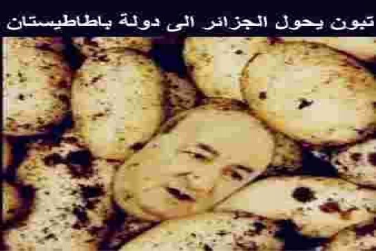 جزائر القوة البطاطية تطبق قانون صارم ضد المضاربة على كل مخزن غير مصرّح به