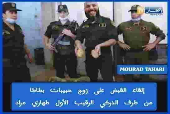 تجار يتحدّون القانون ويبيعون بطاطا بـ 120 دينار للكيلوغرام