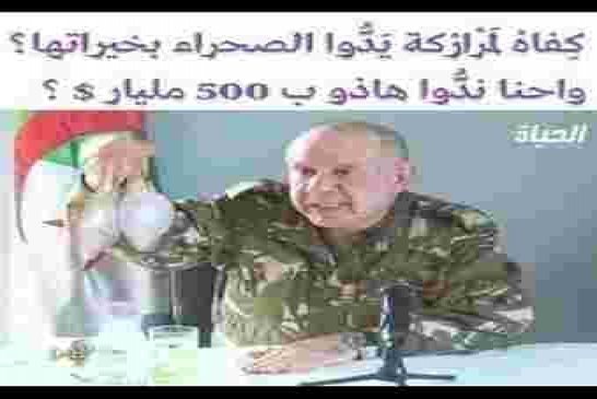 إثارة الفتنة والتحريض على العنصرية بين الأمازيغ والعرب ورقة الجنرالات الأخيرة للبقاء في الحكم