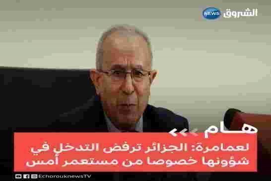 لحمامرة اينما راح وارتحل حل الخراب وهذه المرة يشعل فتيل التفرقة مع مصر