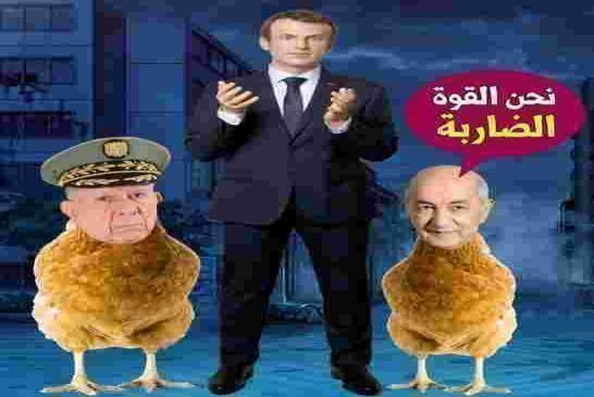 بلحيمر يتهم فرنسا بدعم وتوظيف الإرهاب في الجزائر