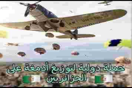 ياقوم مكسب القوة الغارقة في الغباء جراء إغلاق خط أنبوب الغاز مع المغرب  صفر في كل الإتجاهات
