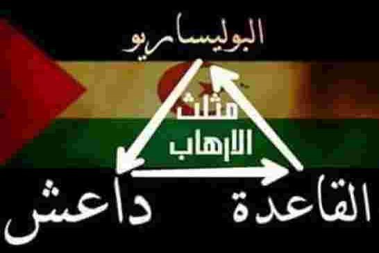 في رسالة الى الجزائر برلمانية موريتانية تحدر من خطر مرتزقة البوليساريو على أمن المنطقة