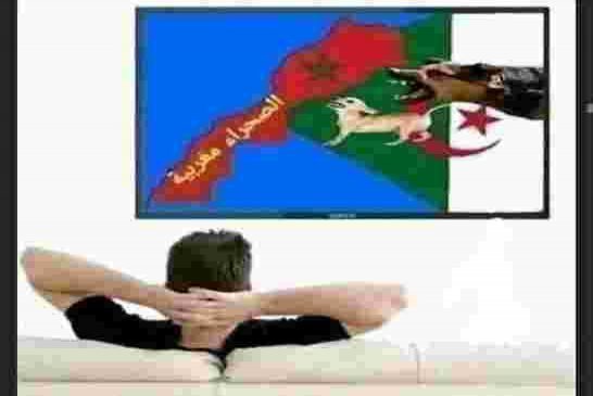 ملك المغرب خرج ديريكت للجزائر لن نتفاوض على مغربية الصحراء