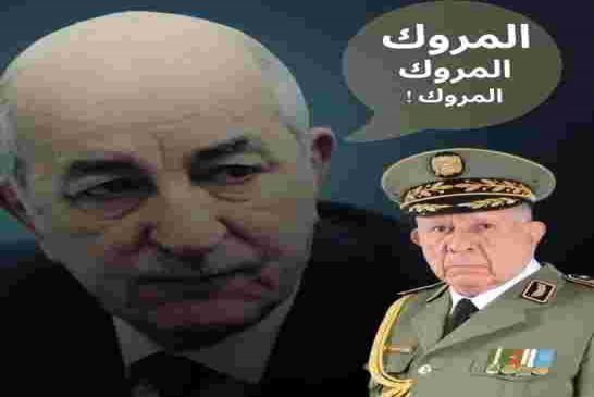 صحيفة "لاريبوبليكا" الإيطالية: جنرالات الجزائر يعانون من أعراض مختلفة لفيروس المغرب المتحور
