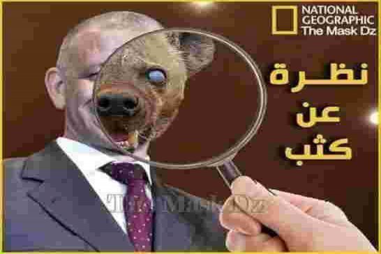 بن قرينة بوجه فولادي يطالب بإنهاء عهد العصابة وأحزابها