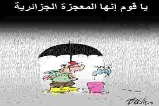 تجي تفهم راسك يبلوكي
