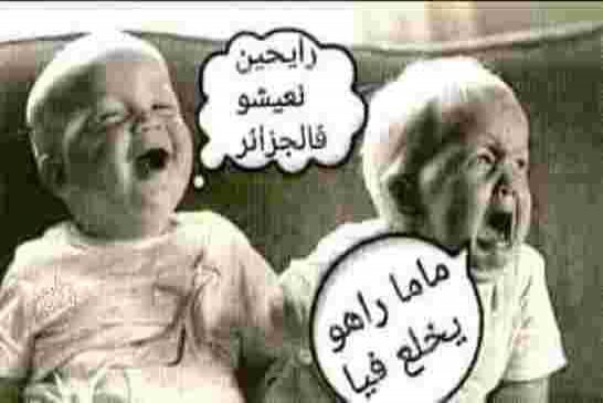 الجزائر في خطر..