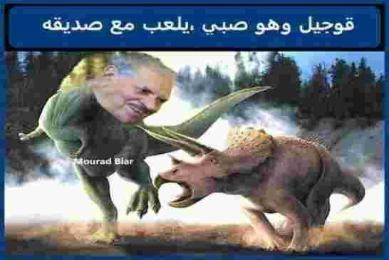 أبو الهول قوجيل يؤكد على أهمية الانتخابات المحلية القادمة لاستكمال بناء الجزائر الجديدة