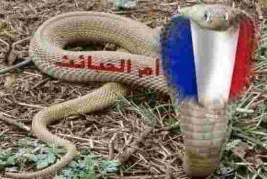 فرنسا تتودد وتتمنى “شراكة طموحة” مع الجزائر