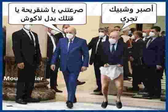 تبون يشكر شنقريحة رئيس الجزائر الفعلي عن زيارة بعثة المنتخب الوطني لرياضة الكاراتي دو