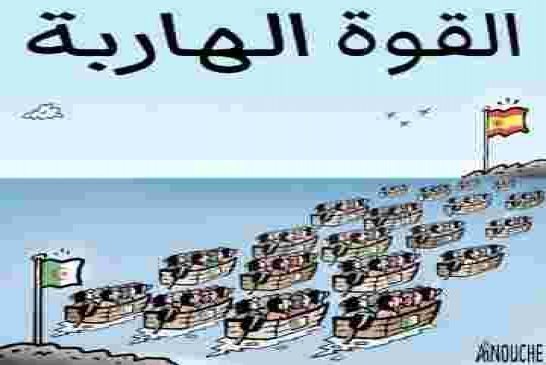 أبوالهول قوجيل يؤكد خلال حوار تلفزيوني أن الجزائر في الطريق الصحيح