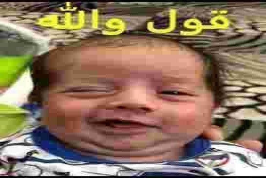 السفير الفلسطيني يشكر مجهودات تبون في رفع قيمة فلسطين وإعادة قضيته العادلة إلى الواجهة