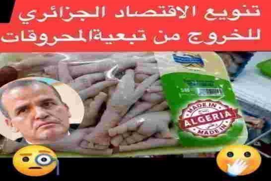 المهرج رزيق يخصص “40 مليار دينار لدعم مادة زيت المائدة”