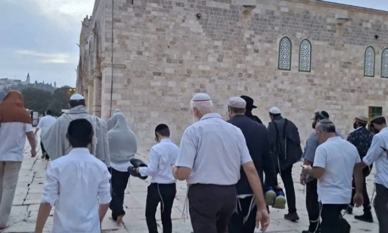 316 مستوطنا إسرائيليا يقتحمون المسجد الأقصى بالقوة