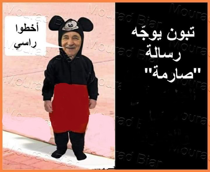 مجلة يمينية فرنسية تزعم وجود يد لأردوغان في ملف تجريم الاستعمار في الجزائر