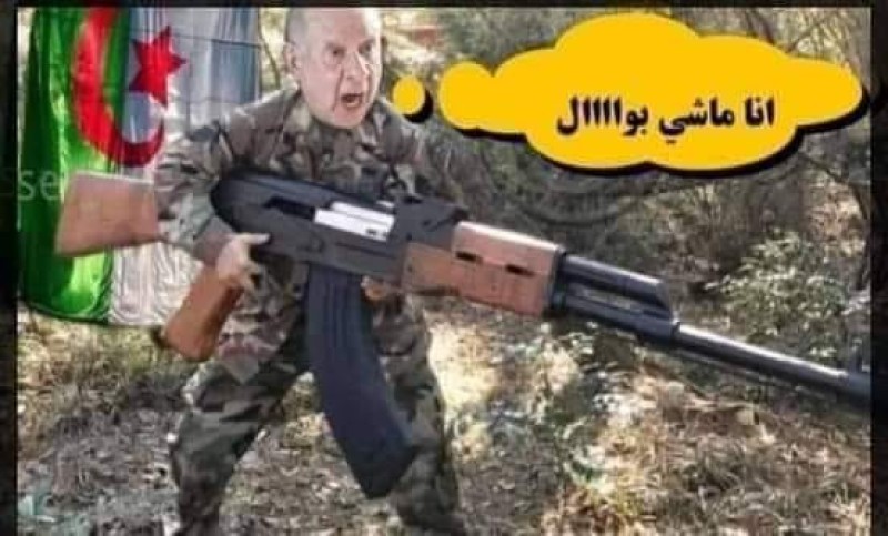 إرسال الجيش الجزائري إلى النيجر مغامرة دون كشوتية غير محسوبة في أكثر مناطق إفريقيا اضطرابًا