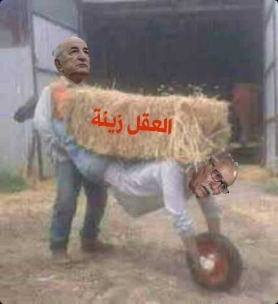مقترح مغربي يخير صحراويي تندوف بين العودة الى الوطن أو البقاء في حضن الجزائر