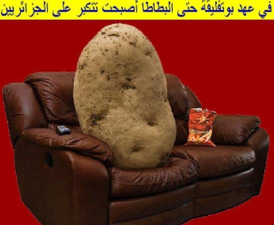 جزائر جنيرالات بوتفليقة