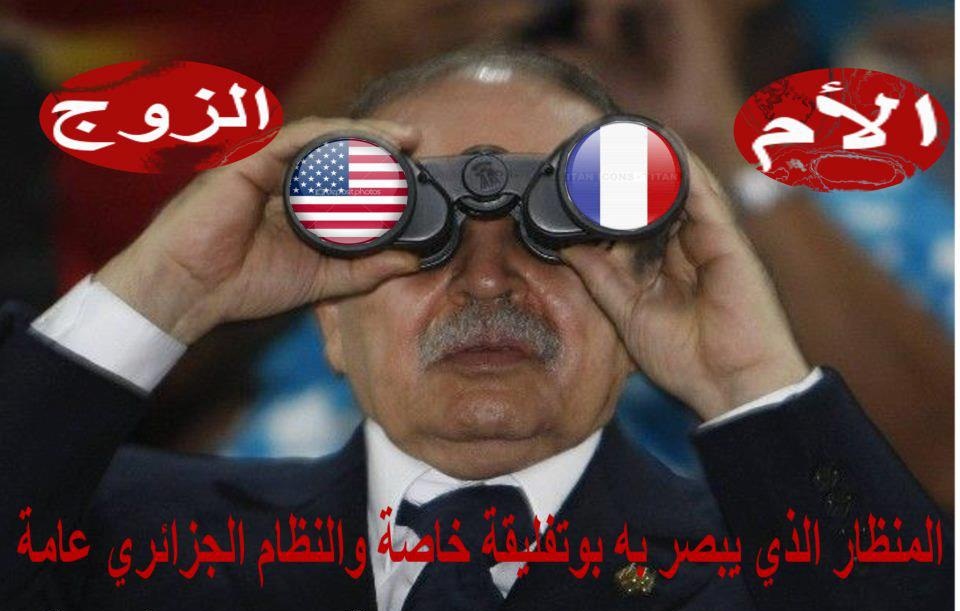 ماهو سر اعتراف النظام الجزائري بالثورات العربية