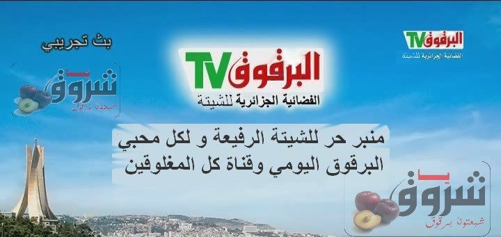 صناعة الكذب رسالة الى صحف وقنوات البرقوق