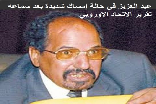 ميغيل أنخيل بويول يطالب الاتحاد الأوروبي بمقاضاة ناهبي المساعدات في تندوف