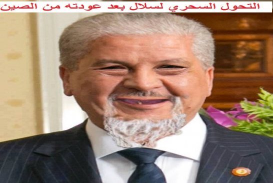 مفارقات غريبة العاطلون في الجزائر ينتظرون فرصة عمل وشركات تستورد عمالها من الخارج