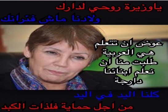 التدريس بالعاميّة في الجزائر بين الوسيلة والغاية