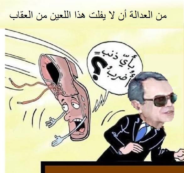 توفيق مدين هو " مخابرات الجزائر الفرنسية "