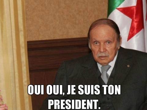 M. Fauteuflika, jusqu’en 2029, et plus si affinités