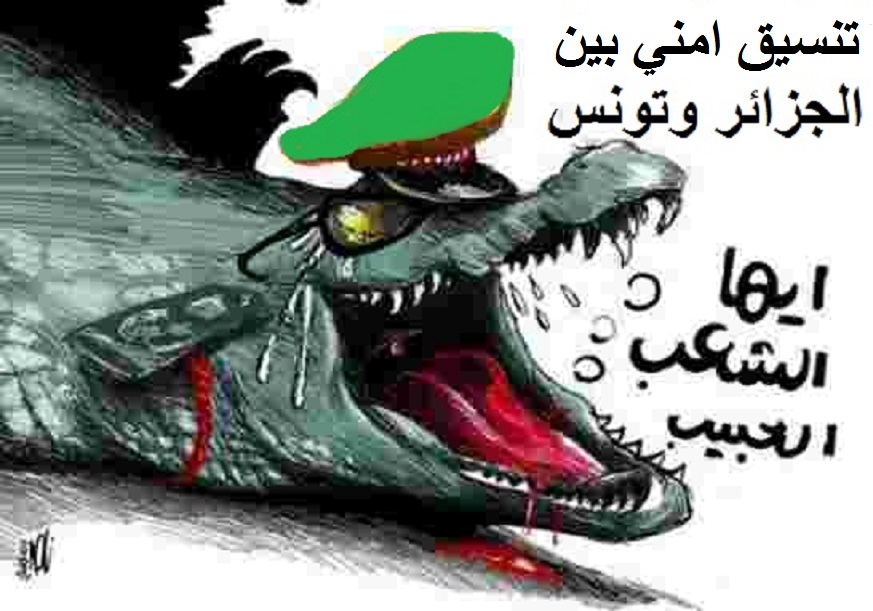 نور الدين بدوي يشدد على ضرورة استمرار التعاون مع تونس في مكافحة الإرهاب