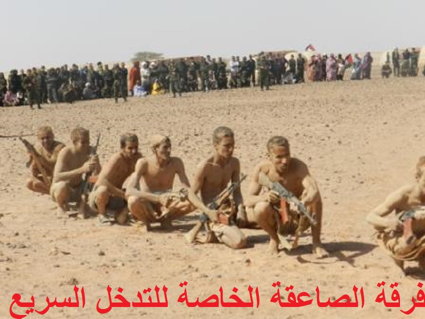 الجزائر تدفع البوليساريو لاستدراج المغرب إلى حرب إقليمية بعد الرسالة “القوية” لزعماء الدول الخليجية