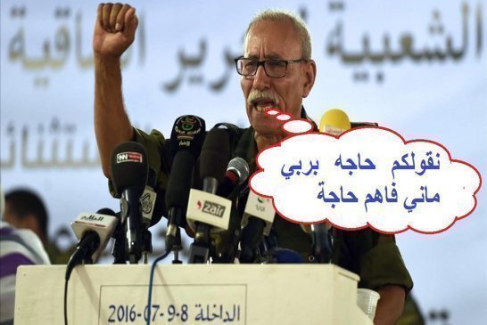 عاجل:البوليساريو ترضخ للقرار الأممي وتنسحب على عجل من ‘‘الكركرات‘‘