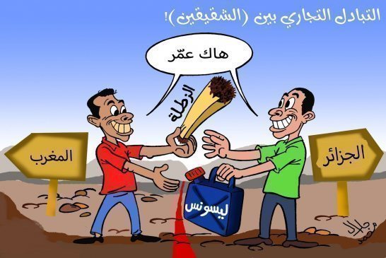 800 طن من المخدرات دخلت إلى الجزائر عبر الحدود المغربية خلال 9 سنوات