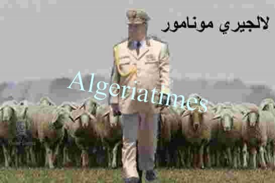 سياسة تخويف الشعب... فايد صالح يحدر من “مؤامرة” تستهدف الجزائر
