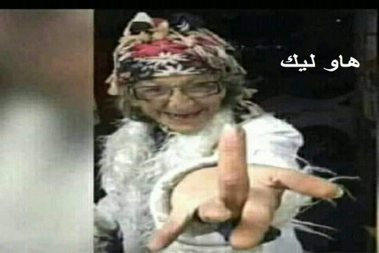 ممكن نسمعو الإمام يقلك " الإنتخابات من طاعة الله و القايد مبشر بالجنة