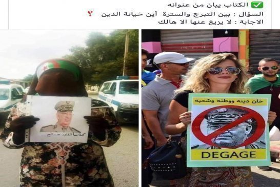 عاجل : المسيرة المليونين لدعم القايد صالح اتضح انها كميرة مخفية للقطط والدباب