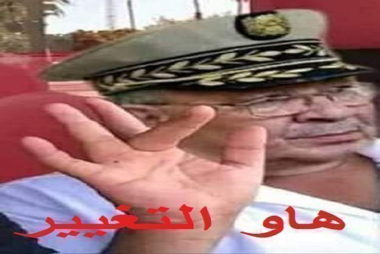 قايد رابعة ابتدائي خرجلها طاي طاي ويشدد على إجراء الانتخابات الرئاسية في تاريخها المحدد
