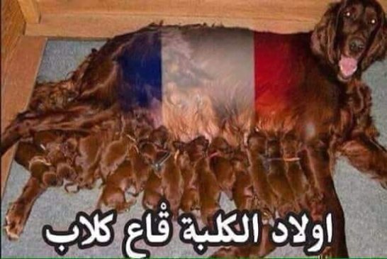 الأمور واضحة لا يمن محاربة الفساد من طرف حماة الفساد