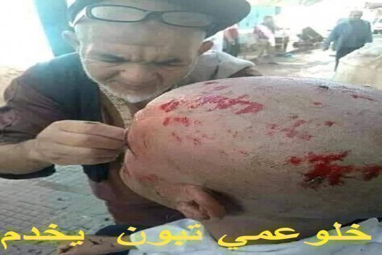 فضيحة من العيار الثقيل أغلب الوفيات في الجزائر ثم بالقتل العمد للمرضى بالمستشفيات وليس بكورونا