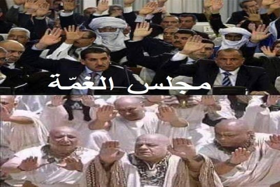 إليكم الأعضاء لفرامجية ممثّلو تبون في مجلس الغمة