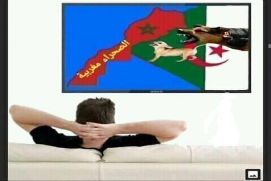 موريتانيا في قلب معترك سياسي بين المغرب و الجزائر حول قضية الصحراء
