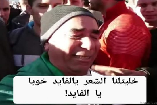 رمز العدالة هو الميزان وليس جناح يريد تشويه جناح