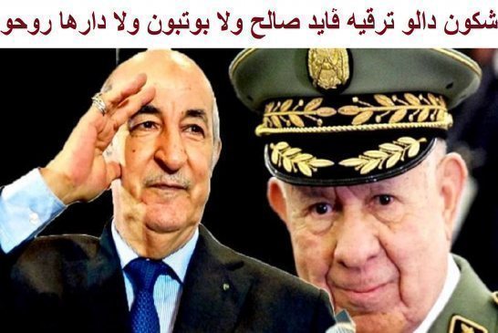 الجزائر في زمن شنقريحة:رئيس حي وميت إشعال حرب في الكركرات عزلة دولية تامة تناقض في التصاريح