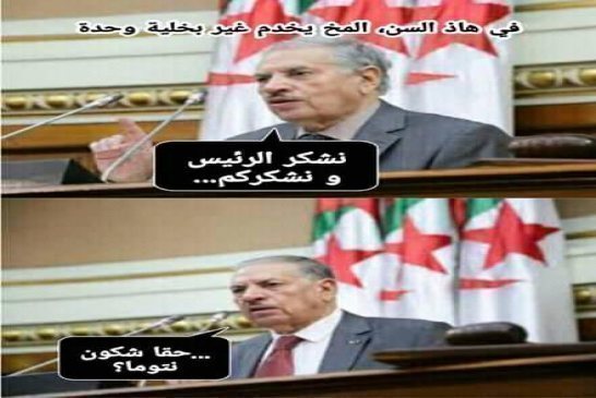 انتخاب صالح قوجيل رئيسا لمجلس الأمة