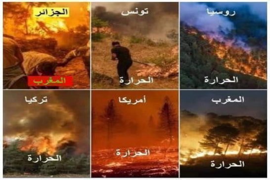 لماذا لجأت بعض دول منها الجزائر لـ "نظرية المؤامرة" في أزمات الحرائق؟