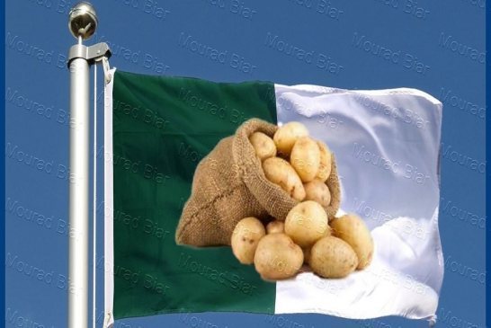 اروع اغنية لأزمة البطاطا بالحزائر بمشاركة أكبر المغنيين العالميين